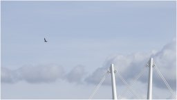 _ju50315 1920